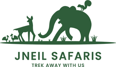 Jneil Safaris